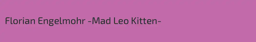 Florian Engelmohr -Mad Leo Kitten-
